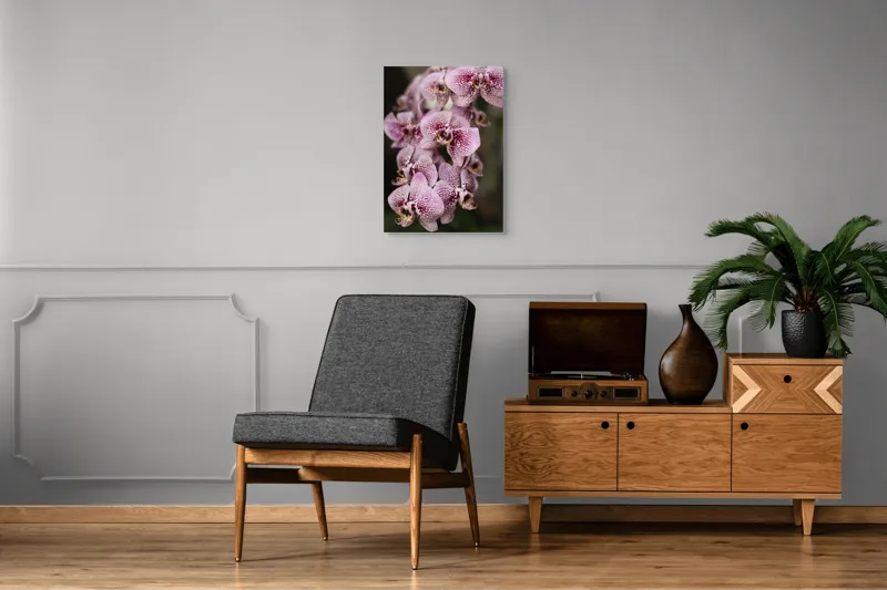 Tablou Canvas, "Orhidee grațioase înflorind splendid", Orhidee, Pestriț, Roz, Delicat, Exotic, Frumusețe, Natură, Viță, Petale, Artă, 50 x 70 cm – poza 8