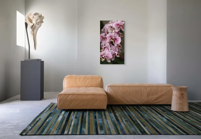 Tablou Canvas, "Orhidee grațioase înflorind splendid", Orhidee, Pestriț, Roz, Delicat, Exotic, Frumusețe, Natură, Viță, Petale, Artă, 50 x 90 cm – poza 5