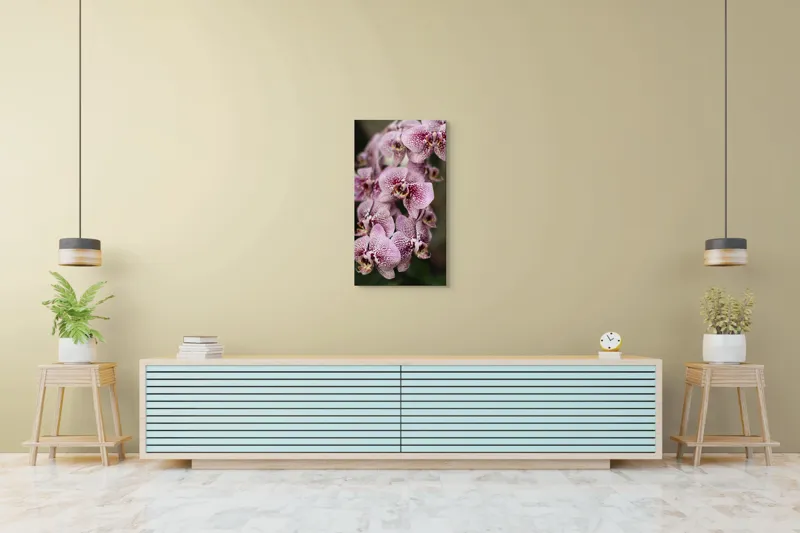 Tablou Canvas, "Orhidee grațioase înflorind splendid", Orhidee, Pestriț, Roz, Delicat, Exotic, Frumusețe, Natură, Viță, Petale, Artă, 50 x 90 cm – poza 6