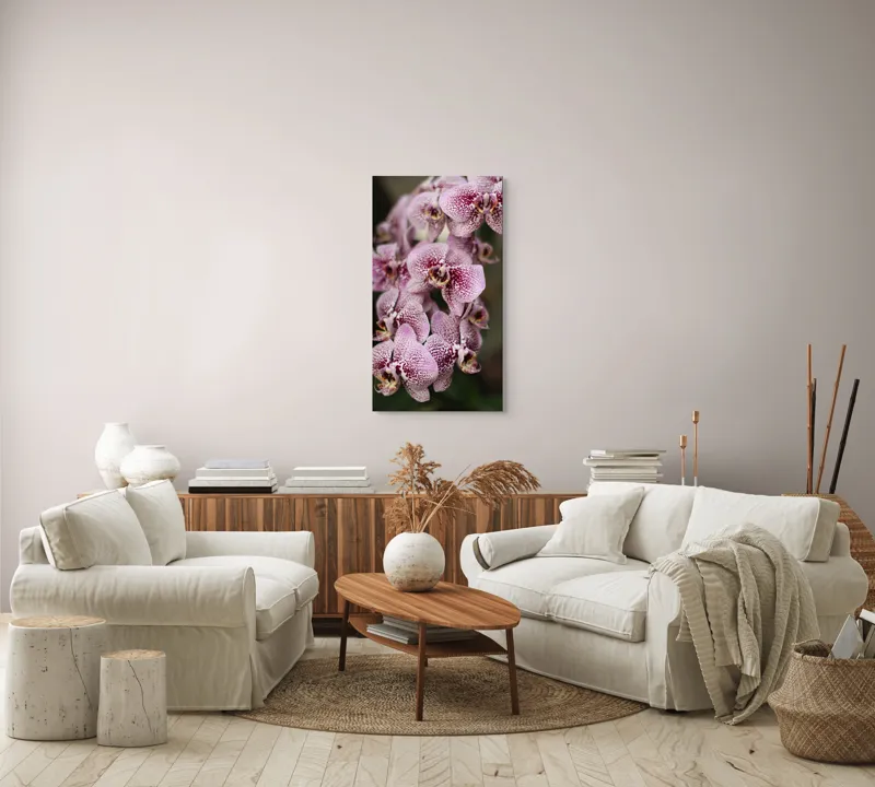Tablou Canvas, "Orhidee grațioase înflorind splendid", Orhidee, Pestriț, Roz, Delicat, Exotic, Frumusețe, Natură, Viță, Petale, Artă, 50 x 90 cm – poza 7