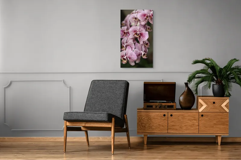 Tablou Canvas, "Orhidee grațioase înflorind splendid", Orhidee, Pestriț, Roz, Delicat, Exotic, Frumusețe, Natură, Viță, Petale, Artă, 50 x 90 cm – poza 8