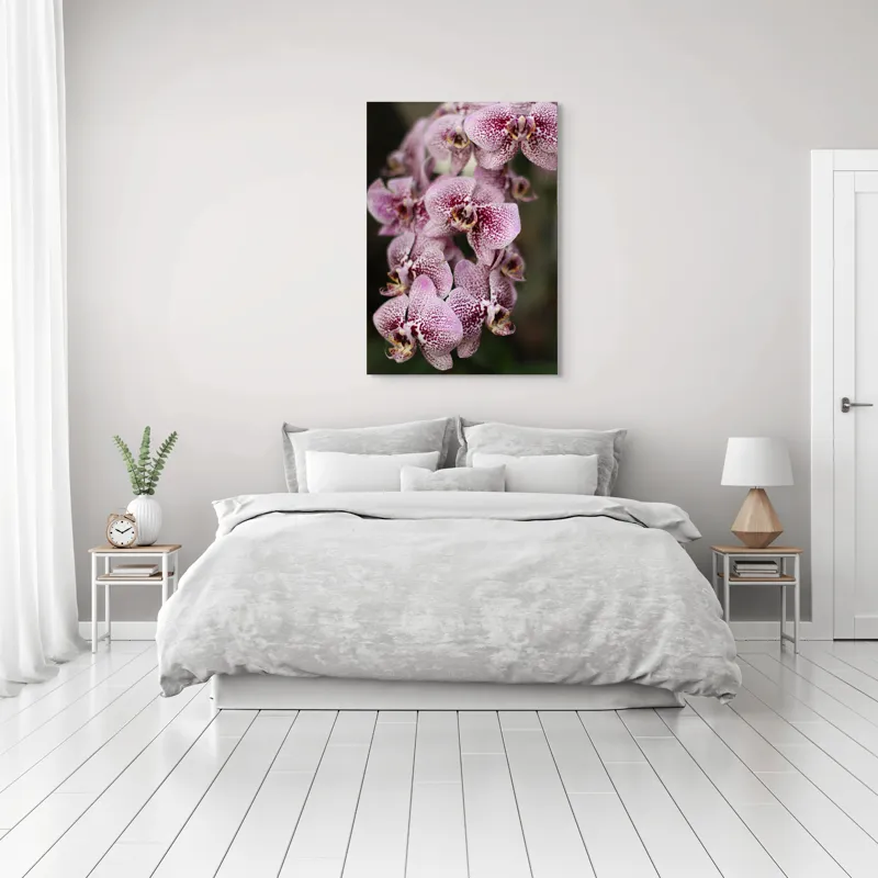 Tablou Canvas, "Orhidee grațioase înflorind splendid", Orhidee, Pestriț, Roz, Delicat, Exotic, Frumusețe, Natură, Viță, Petale, Artă, 70 x 100 cm – poza 3