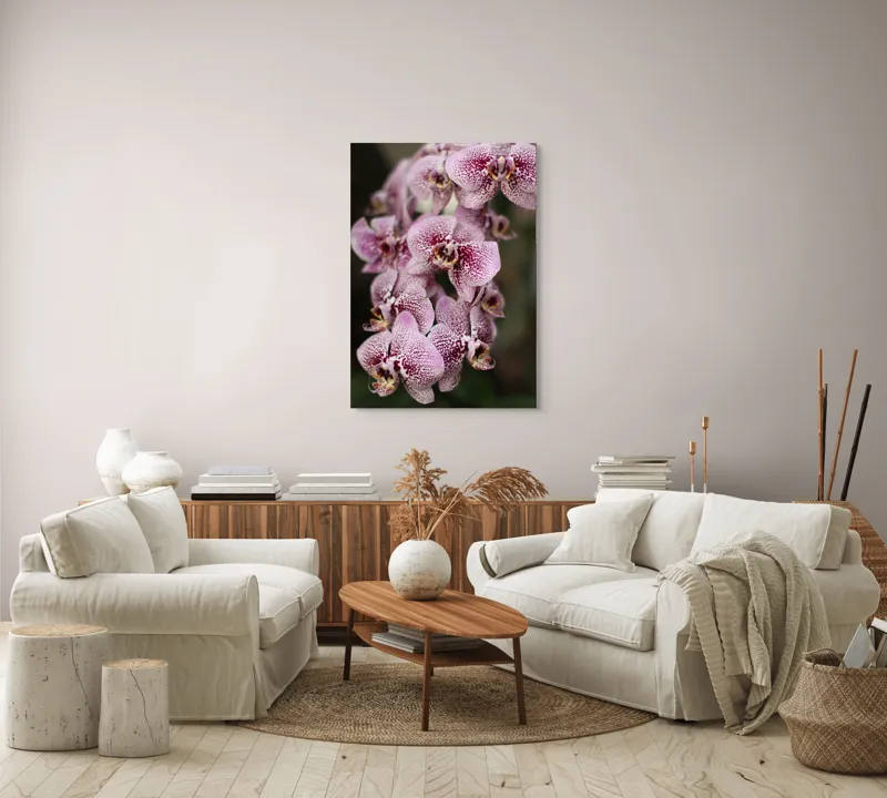Tablou Canvas, "Orhidee grațioase înflorind splendid", Orhidee, Pestriț, Roz, Delicat, Exotic, Frumusețe, Natură, Viță, Petale, Artă, 70 x 100 cm – poza 4