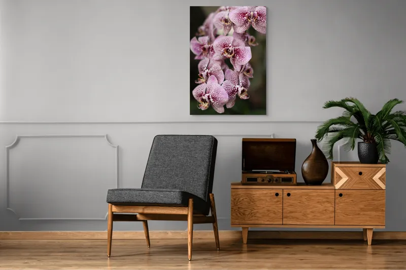 Tablou Canvas, "Orhidee grațioase înflorind splendid", Orhidee, Pestriț, Roz, Delicat, Exotic, Frumusețe, Natură, Viță, Petale, Artă, 70 x 100 cm – poza 6