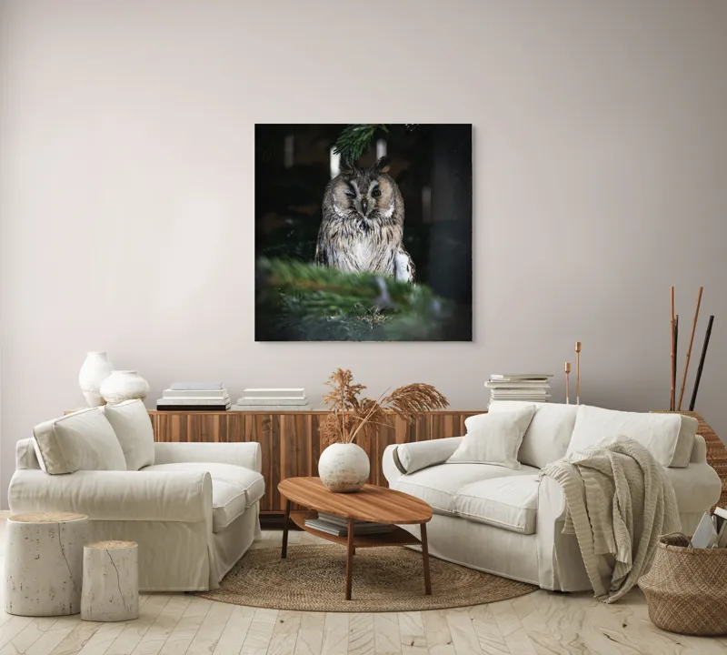 Tablou Canvas, "Bufniță pitită printre ramuri de brad", Bufniță, Ramuri, Pădure, Privire, Noapte, Liniște, Mister, Natură, Penaj, Vânătoare, 100 x 100 cm – poza 3