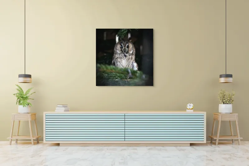 Tablou Canvas, "Bufniță pitită printre ramuri de brad", Bufniță, Ramuri, Pădure, Privire, Noapte, Liniște, Mister, Natură, Penaj, Vânătoare, 100 x 100 cm – poza 5