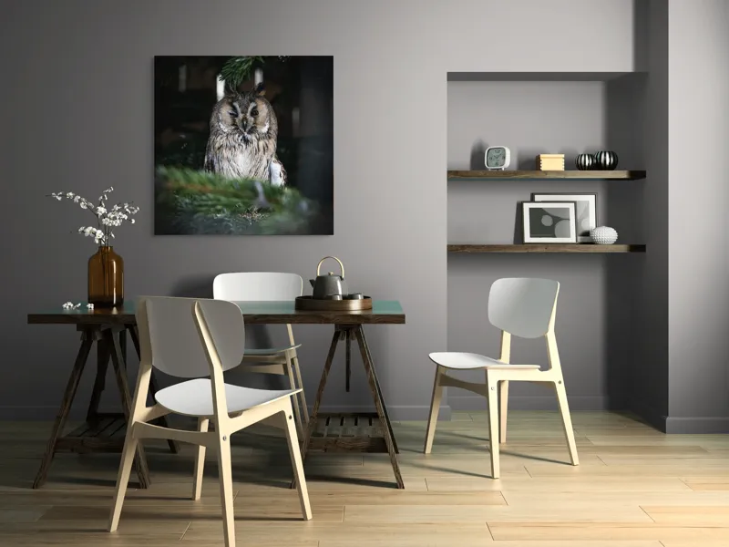 Tablou Canvas, "Bufniță pitită printre ramuri de brad", Bufniță, Ramuri, Pădure, Privire, Noapte, Liniște, Mister, Natură, Penaj, Vânătoare, 100 x 100 cm – poza 6