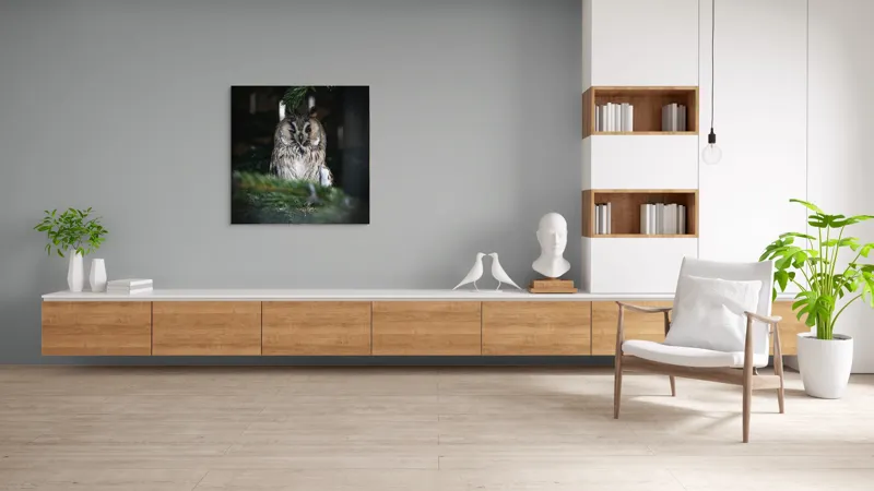 Tablou Canvas, "Bufniță pitită printre ramuri de brad", Bufniță, Ramuri, Pădure, Privire, Noapte, Liniște, Mister, Natură, Penaj, Vânătoare, 100 x 100 cm – poza 8