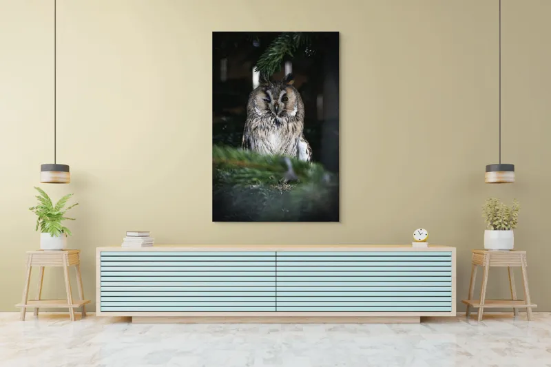 Tablou Canvas, "Bufniță pitită printre ramuri de brad", Bufniță, Ramuri, Pădure, Privire, Noapte, Liniște, Mister, Natură, Penaj, Vânătoare, 100 x 150 cm – poza 4