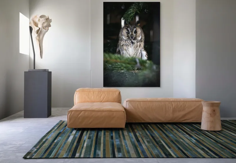 Tablou Canvas, "Bufniță pitită printre ramuri de brad", Bufniță, Ramuri, Pădure, Privire, Noapte, Liniște, Mister, Natură, Penaj, Vânătoare, 100 x 150 cm – poza 7