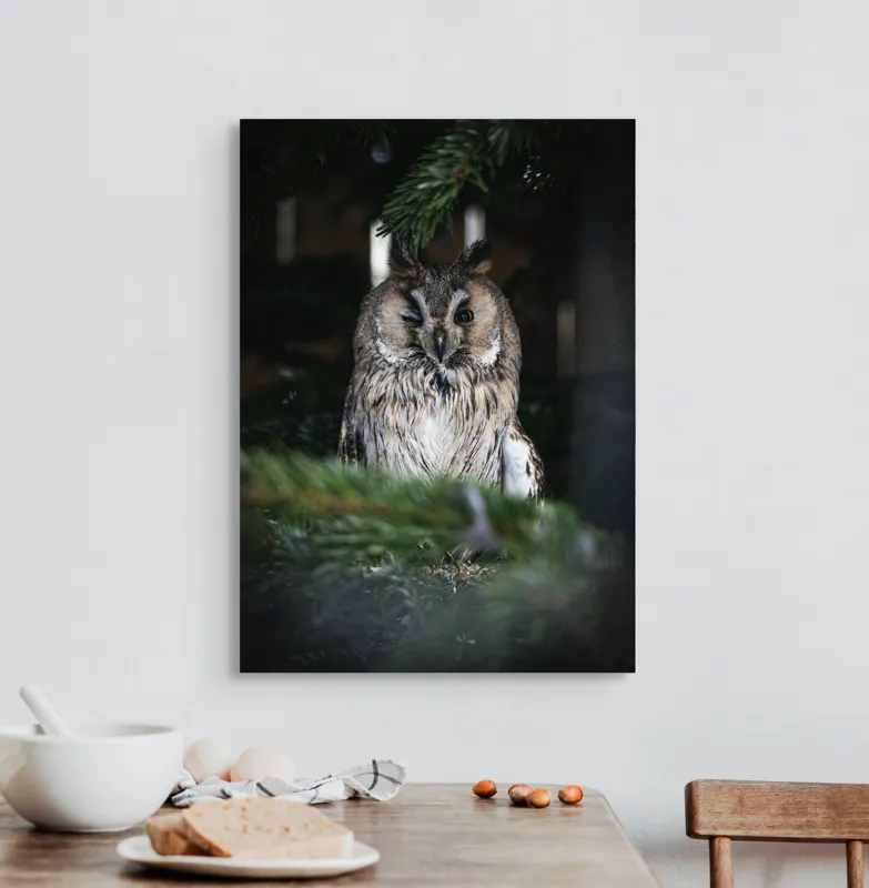 Tablou Canvas, "Bufniță pitită printre ramuri de brad", Bufniță, Ramuri, Pădure, Privire, Noapte, Liniște, Mister, Natură, Penaj, Vânătoare, 50 x 70 cm – poza 3