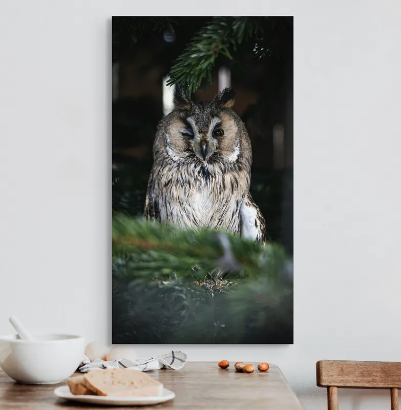 Tablou Canvas, "Bufniță pitită printre ramuri de brad", Bufniță, Ramuri, Pădure, Privire, Noapte, Liniște, Mister, Natură, Penaj, Vânătoare, 50 x 90 cm – poza 3
