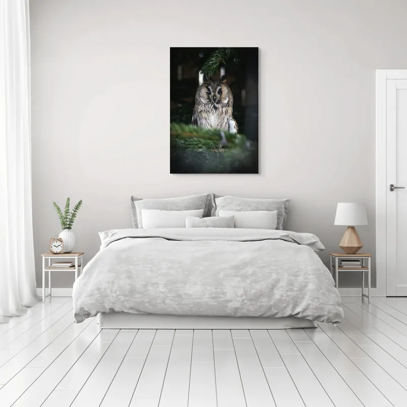 Tablou Canvas, "Bufniță pitită printre ramuri de brad", Bufniță, Ramuri, Pădure, Privire, Noapte, Liniște, Mister, Natură, Penaj, Vânătoare, 70 x 100 cm – poza 3
