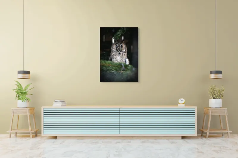 Tablou Canvas, "Bufniță pitită printre ramuri de brad", Bufniță, Ramuri, Pădure, Privire, Noapte, Liniște, Mister, Natură, Penaj, Vânătoare, 70 x 100 cm – poza 5