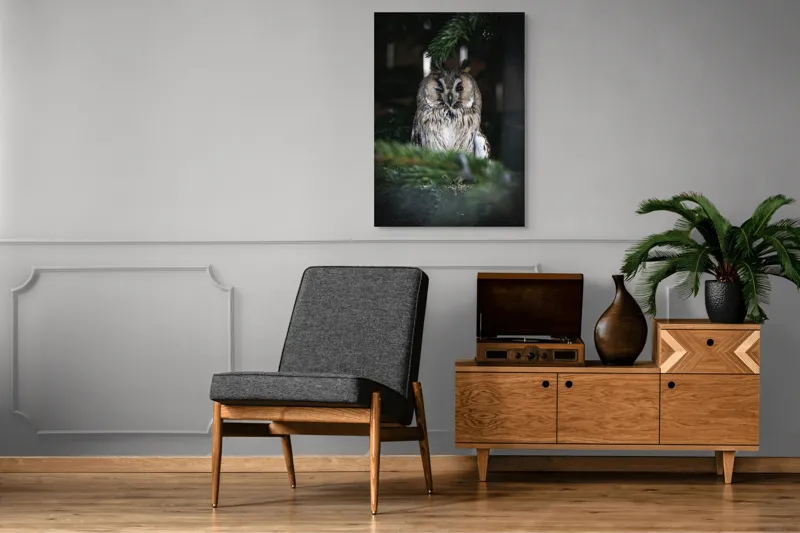 Tablou Canvas, "Bufniță pitită printre ramuri de brad", Bufniță, Ramuri, Pădure, Privire, Noapte, Liniște, Mister, Natură, Penaj, Vânătoare, 70 x 100 cm – poza 6
