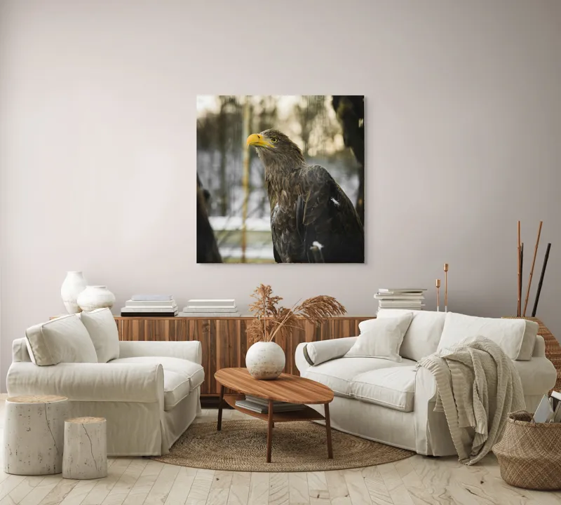 Tablou Canvas, "Privirea ageră a vulturului regal", Vultur, Privire, Majestuos, Penaj, Natură, Cer, Frumos, Puternic, 100 x 100 cm – poza 3