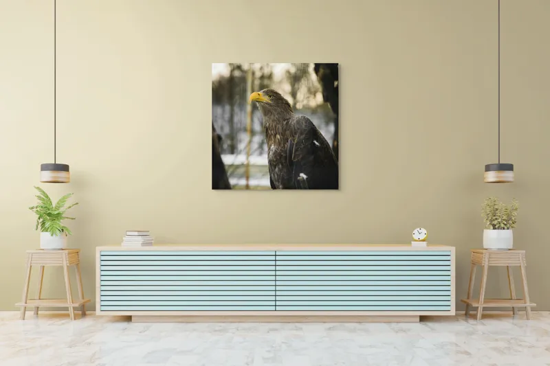 Tablou Canvas, "Privirea ageră a vulturului regal", Vultur, Privire, Majestuos, Penaj, Natură, Cer, Frumos, Puternic, 100 x 100 cm – poza 5