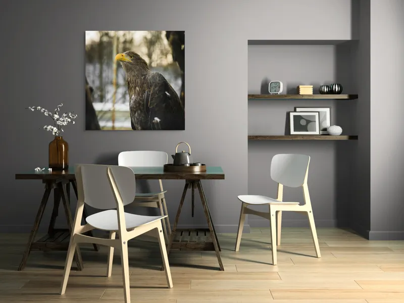 Tablou Canvas, "Privirea ageră a vulturului regal", Vultur, Privire, Majestuos, Penaj, Natură, Cer, Frumos, Puternic, 100 x 100 cm – poza 6