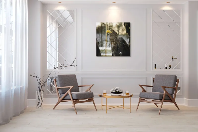 Tablou Canvas, "Privirea ageră a vulturului regal", Vultur, Privire, Majestuos, Penaj, Natură, Cer, Frumos, Puternic, 100 x 100 cm – poza 7