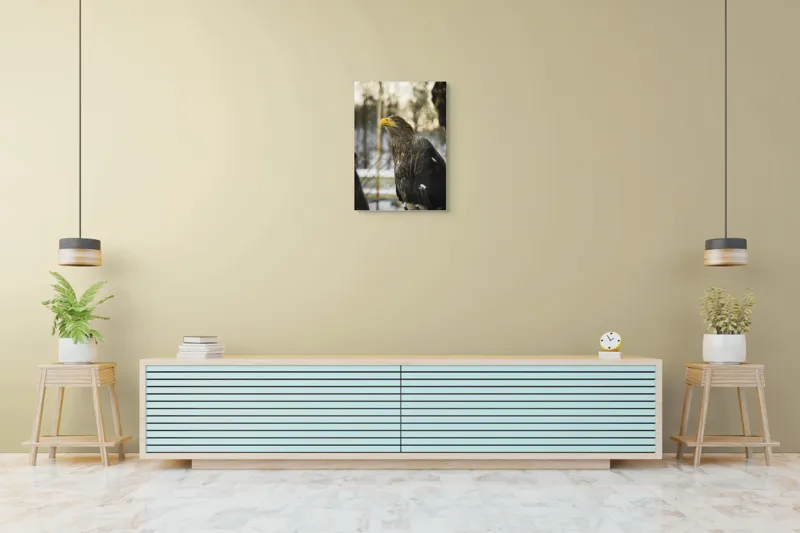 Tablou Canvas, "Privirea ageră a vulturului regal", Vultur, Privire, Majestuos, Penaj, Natură, Cer, Frumos, Puternic, 50 x 70 cm – poza 6