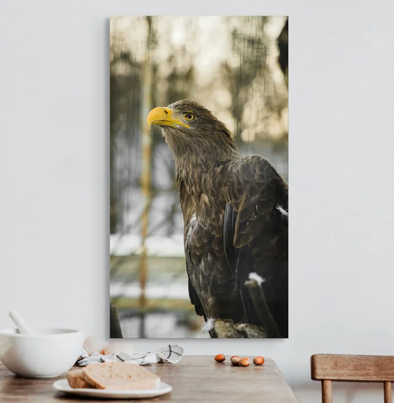 Tablou Canvas, "Privirea ageră a vulturului regal", Vultur, Privire, Majestuos, Penaj, Natură, Cer, Frumos, Puternic, 50 x 90 cm – poza 3