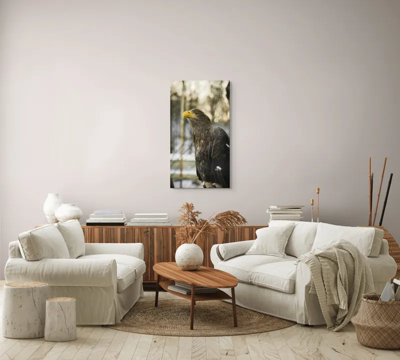Tablou Canvas, "Privirea ageră a vulturului regal", Vultur, Privire, Majestuos, Penaj, Natură, Cer, Frumos, Puternic, 50 x 90 cm – poza 7