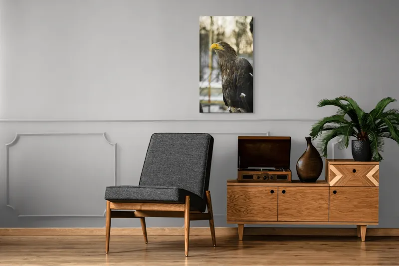 Tablou Canvas, "Privirea ageră a vulturului regal", Vultur, Privire, Majestuos, Penaj, Natură, Cer, Frumos, Puternic, 50 x 90 cm – poza 8