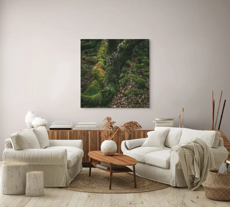 Tablou Canvas, "Pădurea ascunsă sub mantia verde", Copac, Mușchi, Natură, Verde, Textură, Pământ, Frunze, Rămurele, Organic, Pădure, 100 x 100 cm – poza 3