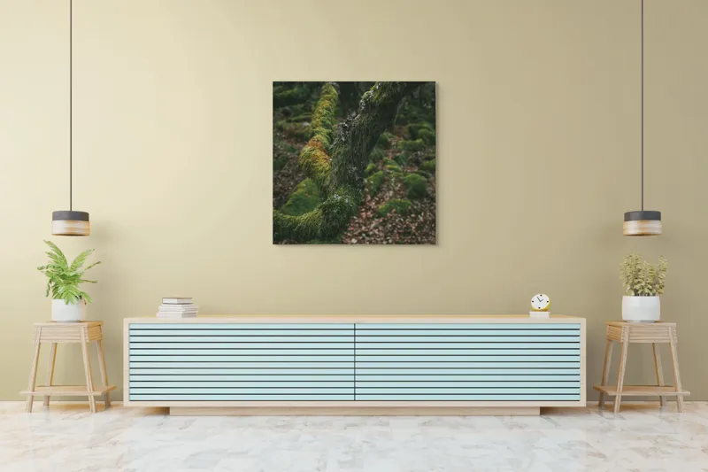 Tablou Canvas, "Pădurea ascunsă sub mantia verde", Copac, Mușchi, Natură, Verde, Textură, Pământ, Frunze, Rămurele, Organic, Pădure, 100 x 100 cm – poza 5