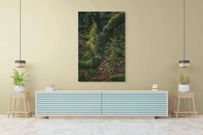 Tablou Canvas, "Pădurea ascunsă sub mantia verde", Copac, Mușchi, Natură, Verde, Textură, Pământ, Frunze, Rămurele, Organic, Pădure, 100 x 150 cm – poza 4
