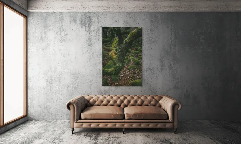 Tablou Canvas, "Pădurea ascunsă sub mantia verde", Copac, Mușchi, Natură, Verde, Textură, Pământ, Frunze, Rămurele, Organic, Pădure, 100 x 150 cm – poza 6