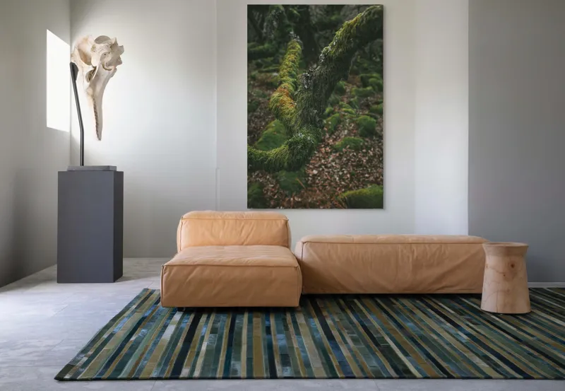 Tablou Canvas, "Pădurea ascunsă sub mantia verde", Copac, Mușchi, Natură, Verde, Textură, Pământ, Frunze, Rămurele, Organic, Pădure, 100 x 150 cm – poza 7