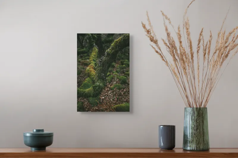 Tablou Canvas, "Pădurea ascunsă sub mantia verde", Copac, Mușchi, Natură, Verde, Textură, Pământ, Frunze, Rămurele, Organic, Pădure, 26 x 39 cm – poza 5