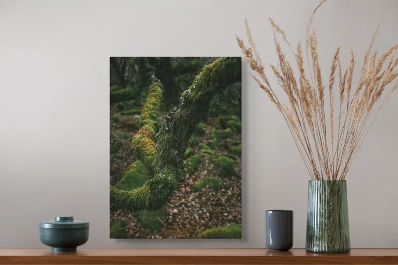 Tablou Canvas, "Pădurea ascunsă sub mantia verde", Copac, Mușchi, Natură, Verde, Textură, Pământ, Frunze, Rămurele, Organic, Pădure, 39 x 54 cm – poza 3