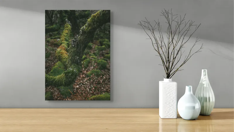 Tablou Canvas, "Pădurea ascunsă sub mantia verde", Copac, Mușchi, Natură, Verde, Textură, Pământ, Frunze, Rămurele, Organic, Pădure, 39 x 54 cm – poza 4