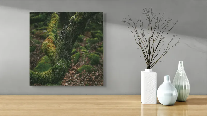Tablou Canvas, "Pădurea ascunsă sub mantia verde", Copac, Mușchi, Natură, Verde, Textură, Pământ, Frunze, Rămurele, Organic, Pădure, 50 x 50 cm – poza 3