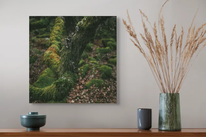 Tablou Canvas, "Pădurea ascunsă sub mantia verde", Copac, Mușchi, Natură, Verde, Textură, Pământ, Frunze, Rămurele, Organic, Pădure, 50 x 50 cm – poza 4