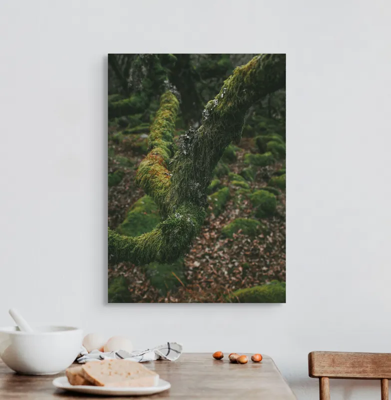 Tablou Canvas, "Pădurea ascunsă sub mantia verde", Copac, Mușchi, Natură, Verde, Textură, Pământ, Frunze, Rămurele, Organic, Pădure, 50 x 70 cm – poza 3
