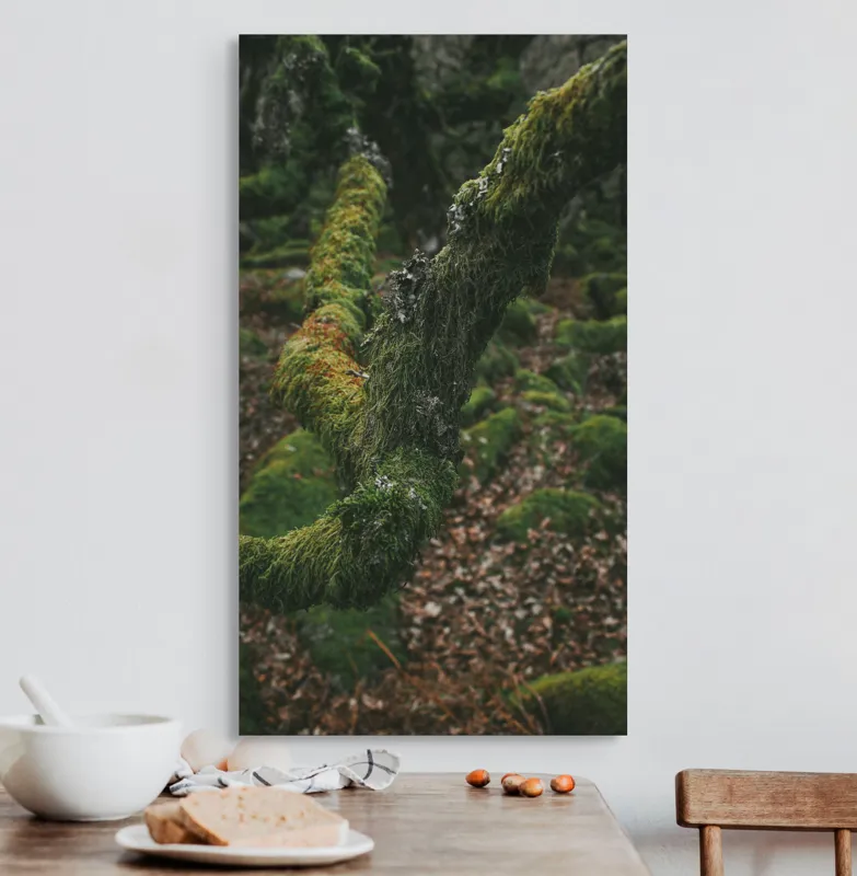 Tablou Canvas, "Pădurea ascunsă sub mantia verde", Copac, Mușchi, Natură, Verde, Textură, Pământ, Frunze, Rămurele, Organic, Pădure, 50 x 90 cm – poza 3