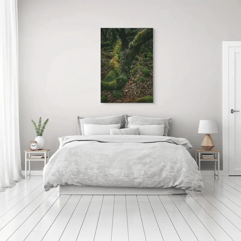 Tablou Canvas, "Pădurea ascunsă sub mantia verde", Copac, Mușchi, Natură, Verde, Textură, Pământ, Frunze, Rămurele, Organic, Pădure, 70 x 100 cm – poza 3