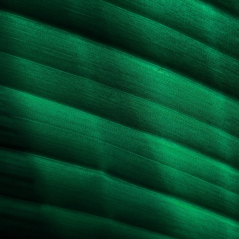Tablou Canvas, "Frumusețea frunzelor sub razele soarelui", Groove, Verde, Textură, Natură, Lumină, Umbră, Frunză, Linie, Suprafață, Organic, 50 x 50 cm – poza 2