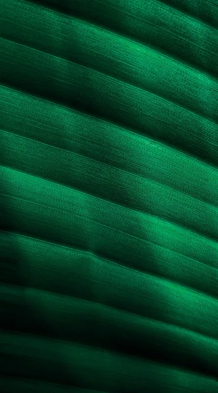 Tablou Canvas, "Frumusețea frunzelor sub razele soarelui", Groove, Verde, Textură, Natură, Lumină, Umbră, Frunză, Linie, Suprafață, Organic, 50 x 90 cm – poza 2