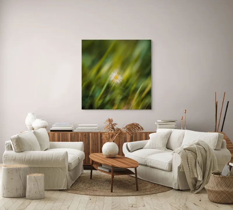 Tablou Canvas, "Margareta dansând în vântul verii", Floare, Singurătate, Verdeață, Estompare, Frumusețe, Natură, Seninătate, Simplitate, Culoare, Delicatețe, 100 x 100 cm – poza 3