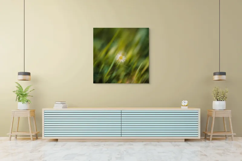 Tablou Canvas, "Margareta dansând în vântul verii", Floare, Singurătate, Verdeață, Estompare, Frumusețe, Natură, Seninătate, Simplitate, Culoare, Delicatețe, 100 x 100 cm – poza 5