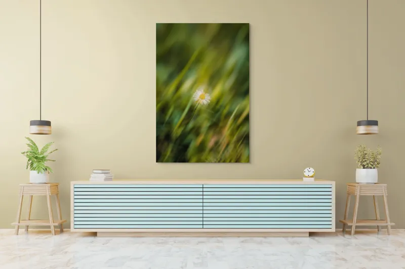 Tablou Canvas, "Margareta dansând în vântul verii", Floare, Singurătate, Verdeață, Estompare, Frumusețe, Natură, Seninătate, Simplitate, Culoare, Delicatețe, 100 x 150 cm – poza 4
