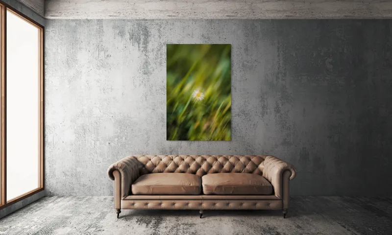 Tablou Canvas, "Margareta dansând în vântul verii", Floare, Singurătate, Verdeață, Estompare, Frumusețe, Natură, Seninătate, Simplitate, Culoare, Delicatețe, 100 x 150 cm – poza 6