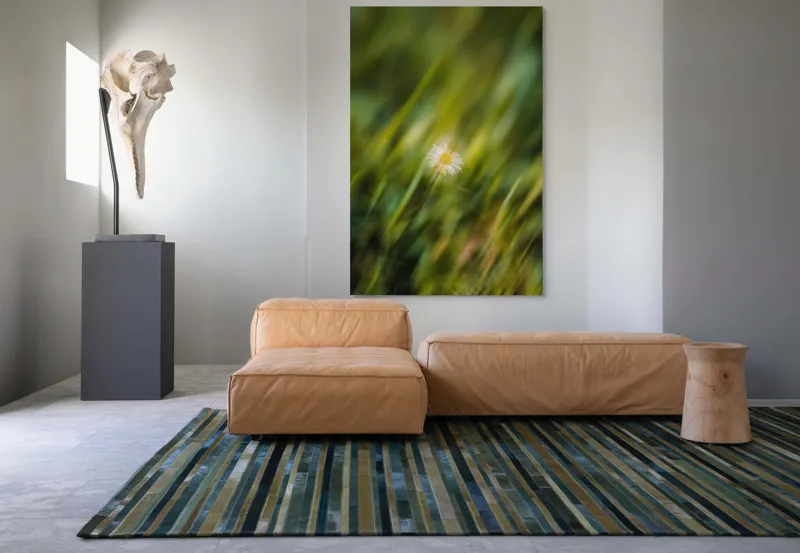 Tablou Canvas, "Margareta dansând în vântul verii", Floare, Singurătate, Verdeață, Estompare, Frumusețe, Natură, Seninătate, Simplitate, Culoare, Delicatețe, 100 x 150 cm – poza 7
