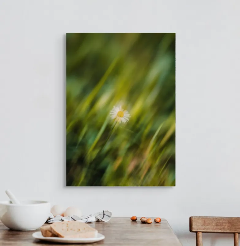 Tablou Canvas, "Margareta dansând în vântul verii", Floare, Singurătate, Verdeață, Estompare, Frumusețe, Natură, Seninătate, Simplitate, Culoare, Delicatețe, 50 x 70 cm – poza 3