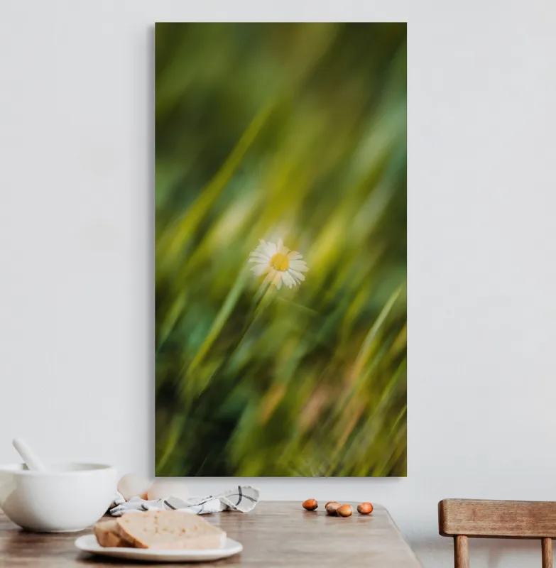 Tablou Canvas, "Margareta dansând în vântul verii", Floare, Singurătate, Verdeață, Estompare, Frumusețe, Natură, Seninătate, Simplitate, Culoare, Delicatețe, 50 x 90 cm – poza 3