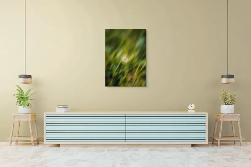 Tablou Canvas, "Margareta dansând în vântul verii", Floare, Singurătate, Verdeață, Estompare, Frumusețe, Natură, Seninătate, Simplitate, Culoare, Delicatețe, 70 x 100 cm – poza 5